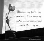 missing-you